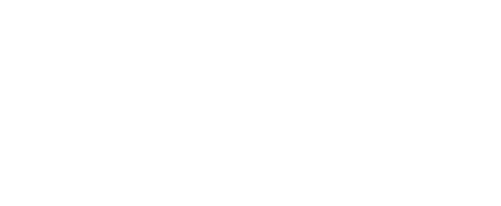 LFM Group